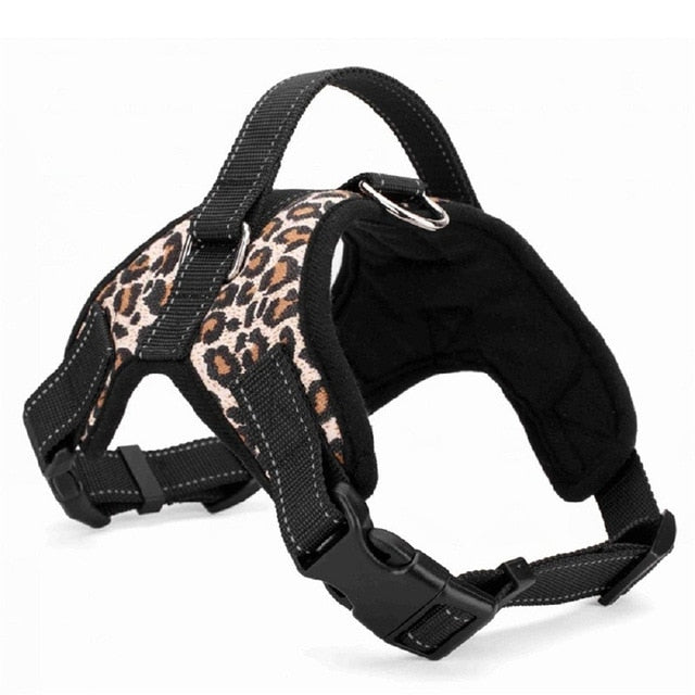 Quality Collar