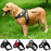 Quality Collar