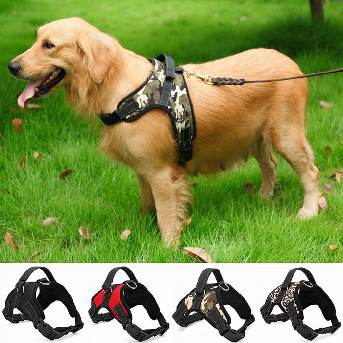 Quality Collar